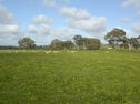Sec 1982 Cnr Military & Jones  Rd, Harrogate, SA 5244