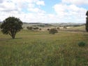2039 PEAK VIEW ROAD, PEAK VIEW, Cooma, NSW 2630