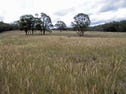 154 Fernleigh  Close, Windellama, NSW 2580