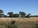 Lacey Road and Black Road, Ross Creek, Vic 3351