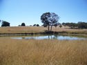 "Goragilla", Purlewaugh, NSW 2357