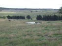 3140 Oallen Ford Road, Windellama, NSW 2580