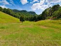 1186 Currumbin Creek Road, Currumbin Valley, Qld 4223