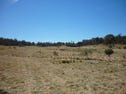 2552 Shannons Flat Road, Cooma, NSW 2630