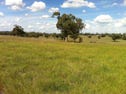 Tambar Springs, address available on request