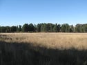 Yarrawin, Dubbo, NSW 2830