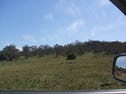 174 Dry Plains road, Cooma, NSW 2630