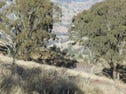 Lot 3 Decca Road, Bigga, NSW 2583