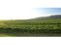 Lot 1 Mistletoe Lane, Pokolbin, NSW 2320