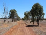 312 Carter Road, Karranadgin, WA 6460