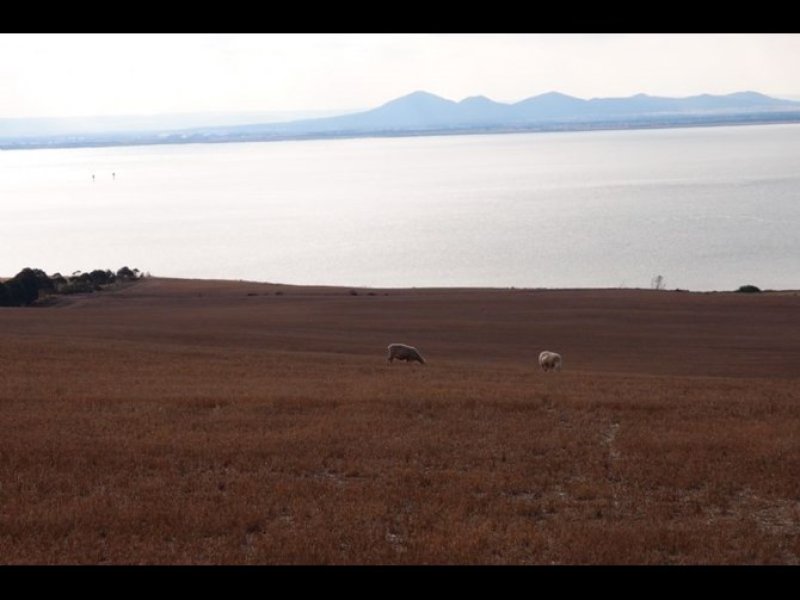 2355 Portarlington Road, Portarlington, VIC, 3223, Portarlington - Thumbnail 4