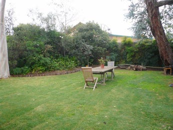 Australian native, modern garden ideas