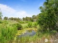50 Griffiths Road, Redbank Plains, Qld 4301