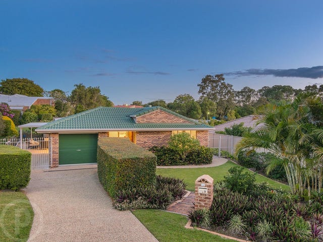 Pest control in Carseldine